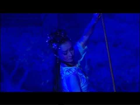 Chinese Dance Drama 中国舞蹈舞剧||红楼梦（二）|||【舞剧】《红楼梦》（领舞：山翀、武巍峰、袁琳等）