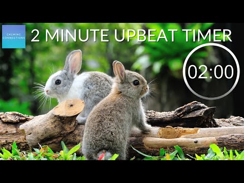 2 Minute Countdown Timer With Upbeat Music - ⏲ Rabbits 🐇 - Pack up time music, 2 minute rabbit timer