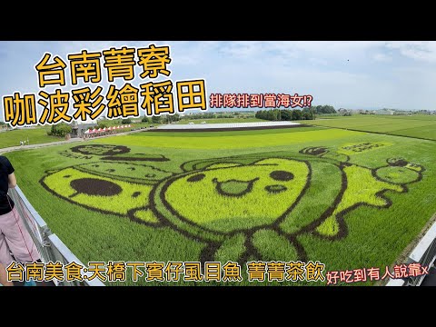 咖波 彩繪稻田|台南美食| 天橋下賓仔虱目魚 | 菁菁茶飲【9898系列】#咖波 #台南美食 #台南 #台南景點   #vlog