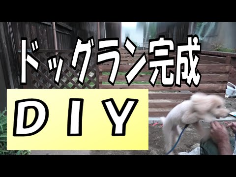 【2020年】【DIY】格安DIY！ドッグラン完成