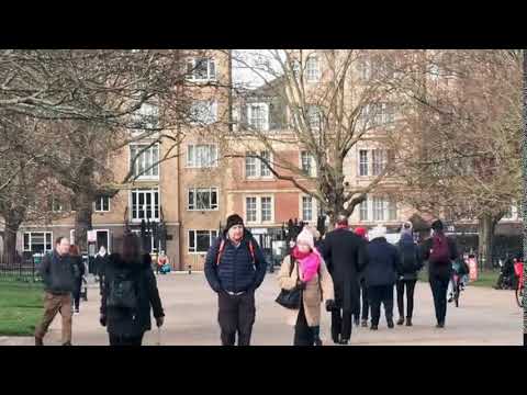 People Walking in Park | Copyright Free Video Footage