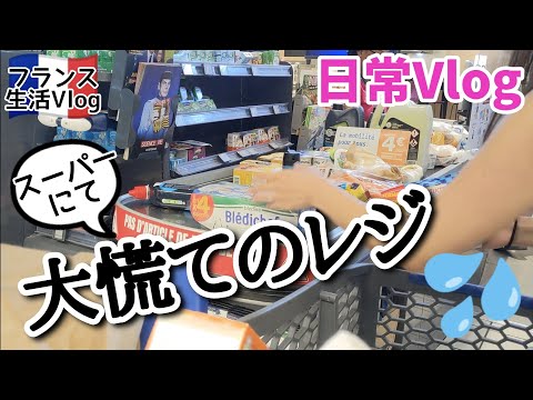 毎回大慌てするレジｗ　スーパーで買い出しinフランス【日常ゆる動画】