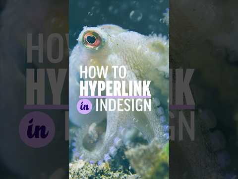 How to Hyperlink in InDesign #shorts