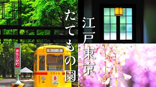 【江戸東京たてもの園】ジブリの世界溢れるレトロ建築をスナップ撮影〜前編〜【千と千尋の神隠し】