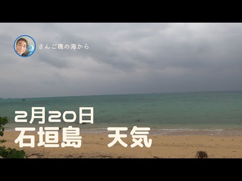 【石垣島天気】2月20日9時ごろ。15秒でわかる今日の石垣島の様子。