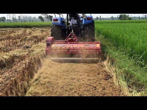 Fieldking Mulcher in Paddy Field | Agricultural Machinery Rotary Mulcher