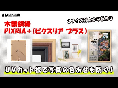 ハクバ 木製額縁 PIXRIA+（ピクスリア プラス）