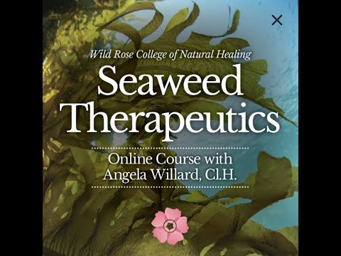 Seaweed Therapeutics - Online Course with Angela Willard Cl.H.