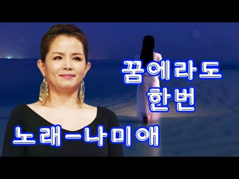 꿈에라도 한번-노래 나미애