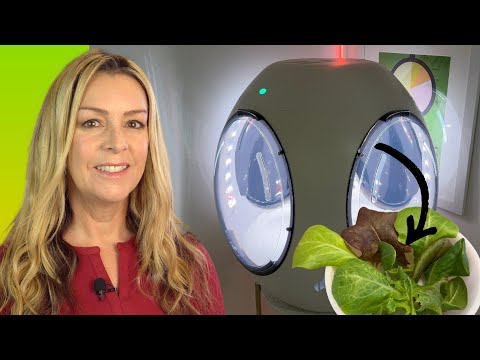 Plantaform Rejuvenate Indoor Garden: FULL hands-on review