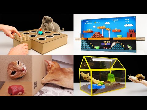 5 Amazing Things You Can Do for Pets Compilation