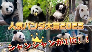 人気パンダ大賞2023 シャンシャンがチャンピョン！