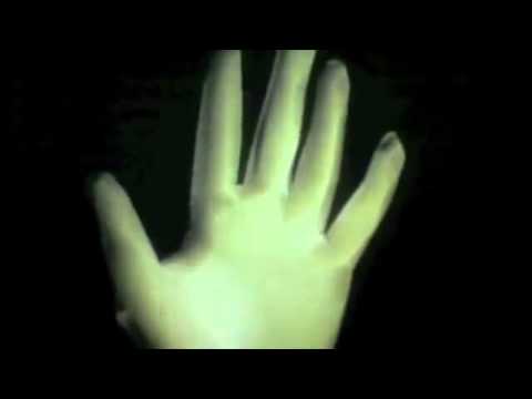 81810 - White glove