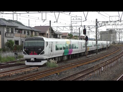 【団体列車】E257系0番台M-107編成の愛称表示機がバグる瞬間　2019年10月撮影