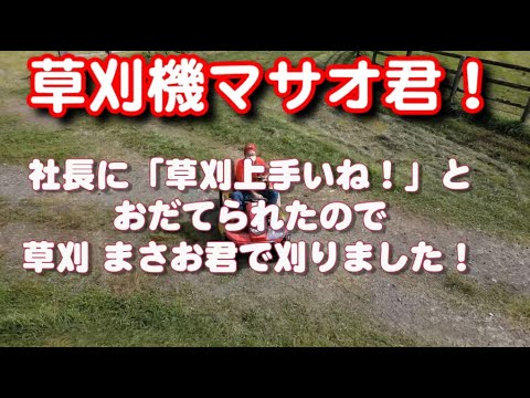 【草刈り機】社長におだてられ、ヘイ！マサオ君で草刈りをしました。