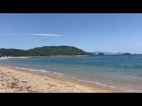 自然の癒し＆動物の癒し♯波の音♯香川県♯津田♯牧場♯家ネコ