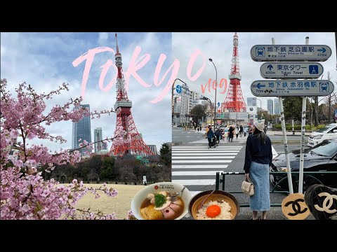 🇯🇵 tokyo in a day 🌸🗼roppongi minato spring cherry blossoms, hidden food gems + vintage shopping