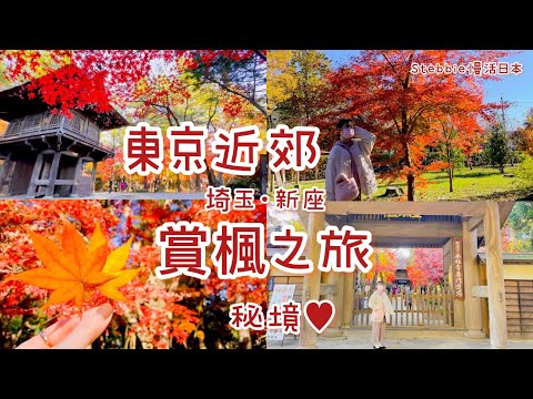 日本人才知道的賞楓秘境！漫天楓紅寺院🍁遇見富士山🗻免費日式庭園紅葉小徑散步🍂國家指定天然記念物樹林🌳好吃天婦羅蕎麥麵🍤遍地松果🐿｜日本旅遊｜Stebbie慢活日本🇯🇵