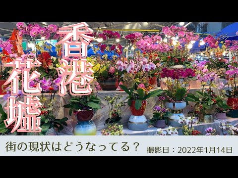 ＜香港＞香港の今をお届けします｜2022年1月14日｜花墟｜FLOWER MARKET