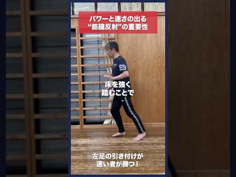 【剣道】速さとパワーの出る“筋腱反射"を使った足さばき #kendo #shorts