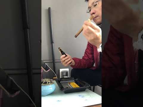 我抽 故我在（15）￼￼Montecristo cigar