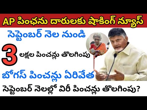 సెప్టెంబర్ నెల నుండి 3 లక్షల పించన్లు తొలగింపు ||ap pension news 2024 || 2024 ap pension latest news