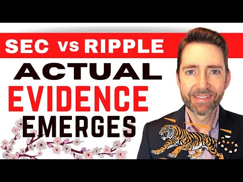 Att'y Hogan on Ripple v. SEC: Real Evidence is Coming Out!  Judge Torres Takes Over! Here We Go!!