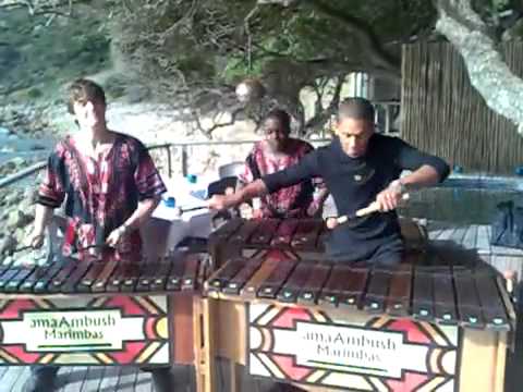 amaAmbush performing at Lewis Gordon Pugh's wedding