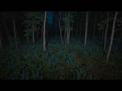 5 Hours Of Unnerving Deep Woods Horror Stories | Scary Deep Woods Stories | With Rain Sounds