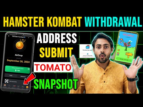 Link Exchange Address Hamster Kombat || Tomarket 2nd Sep Snapshot || Hamster Kombat || Tomato