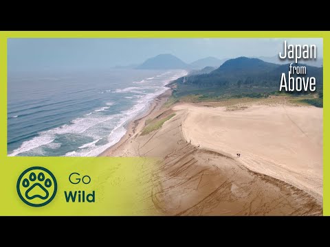 The Land of the Gods | Japan From Above 4/5 | Go Wild