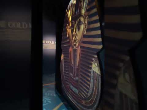 埃及少年法老图坦卡蒙(9-19岁)/ King Tut Experience in DC