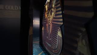 埃及少年法老图坦卡蒙(9-19岁)/ King Tut Experience in DC