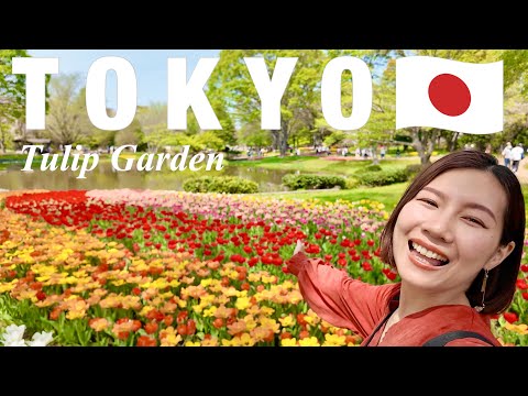 TOKYO🇯🇵 Most Beautiful Parks in Tokyo🌷SHOWA KINEN PARK!! Japan travel vlog