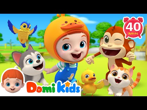 Animal Dance Song With Domi Kids | Little Duck Quack Quack | Nursery Rhymes & Kids Songs