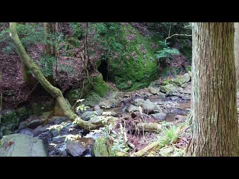 大分県 旧照国 鉱山