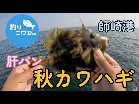 肝パンの秋カワハギに挑戦！【師崎港】