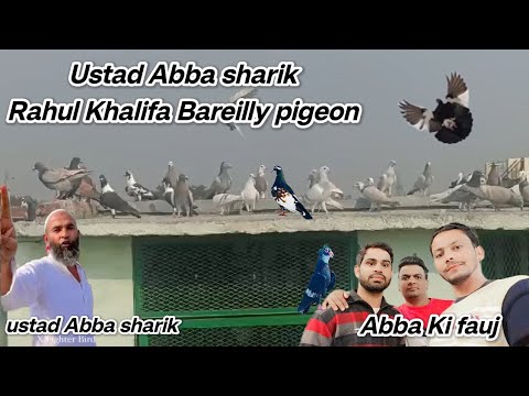 ustad Abba sharik Rahul Khalifa Bareilly pigeon Abba ki fauj