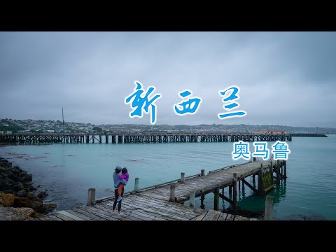 新西兰奥马鲁网红旅游点打卡(新西兰 Harold Vlog 891)