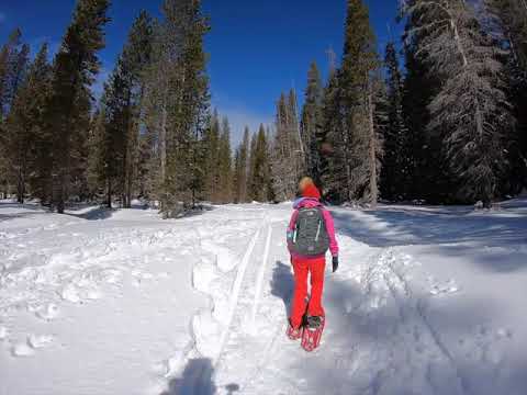 Snowshoeing in Yosemite - Feb '19