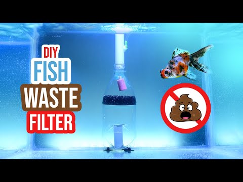 Ditch Fish Waste with This Genius DIY Aquarium Filter Hack!