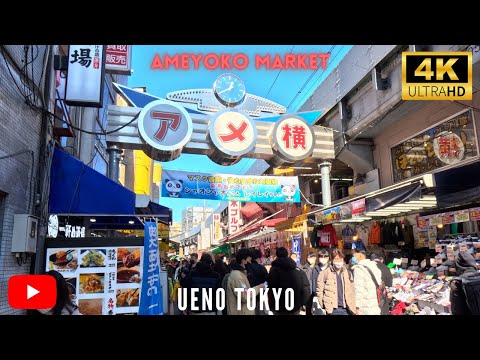 Walk Through Tokyo's Ueno Ameyoko Market and Discover What You're Missing...In 4K!