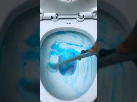 Disposable toilet bowl cleaner