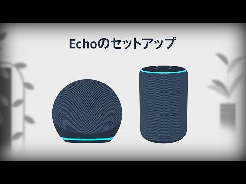 Echoをセットアップする