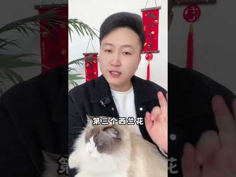 冬天最适合给猫咪，吃的四种食。 养猫经验分享 科学养宠攻略 宠物零食新手养猫 养猫人