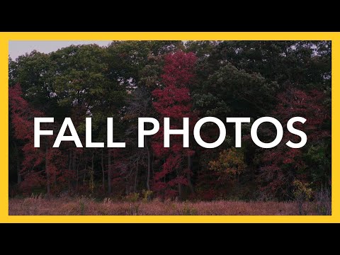 Didn't Go To Plan | Fall Landscape Photography