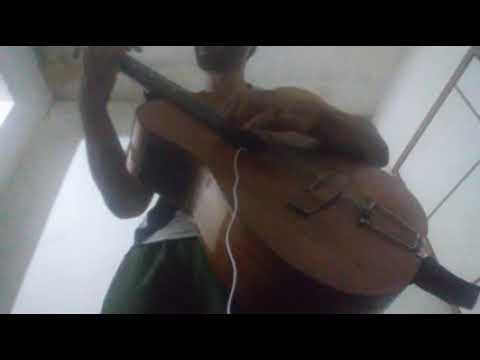 A dark animal guitar fingerstyle