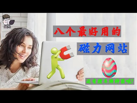 【東哥科技】从此看片不求人！八个最好用的磁力网站推荐，最后分享福利小彩蛋：找车牌神器！