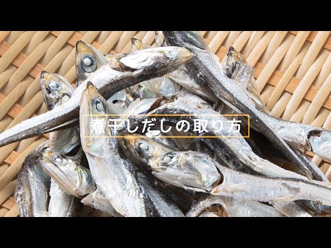 味噌屋が伝授！煮干し（いりこ）だしの取り方