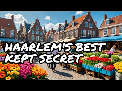 Discover Haarlem's HIDDEN GEM!